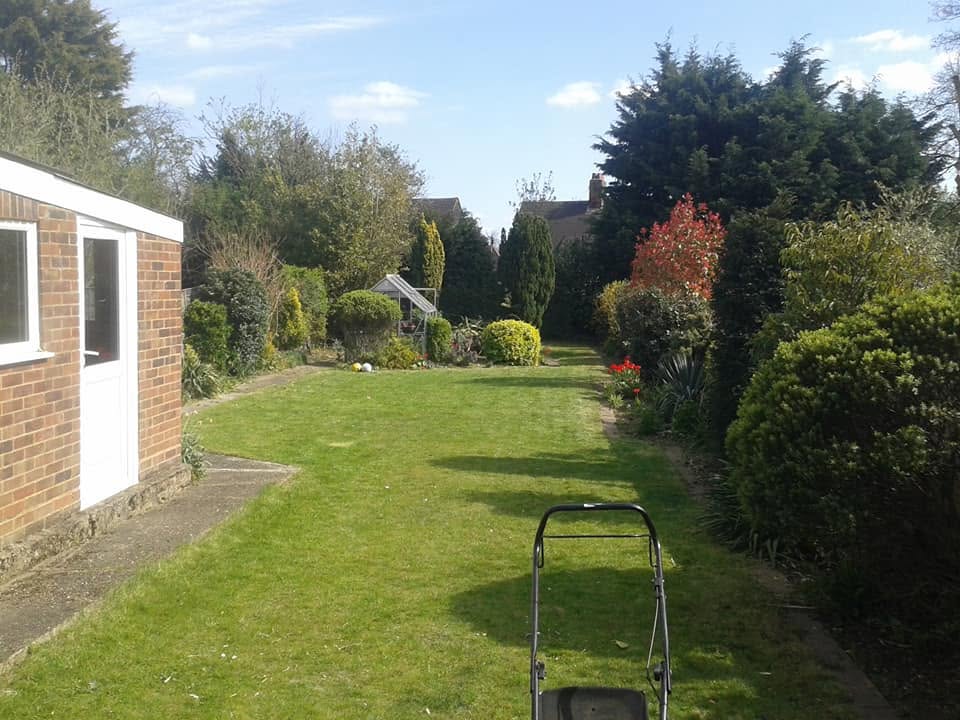 A well-kept back garden with borders and mown lawn