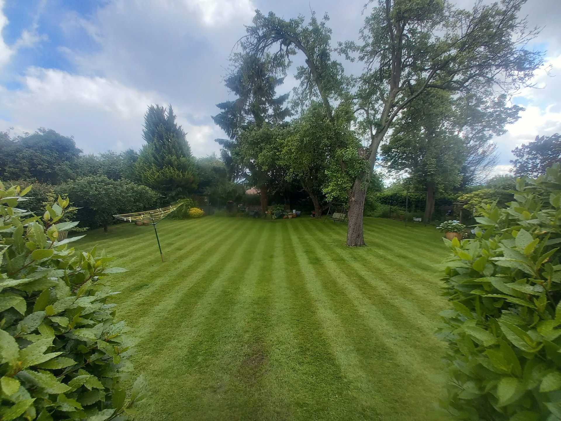 A freshly mown lawn with crisp stripes